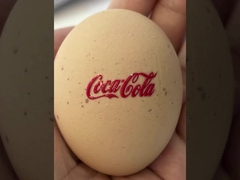 高さ1062 MM DTFの紫外線プリンター最高の幅620 MMデジタルのインクジェット・プリンタ